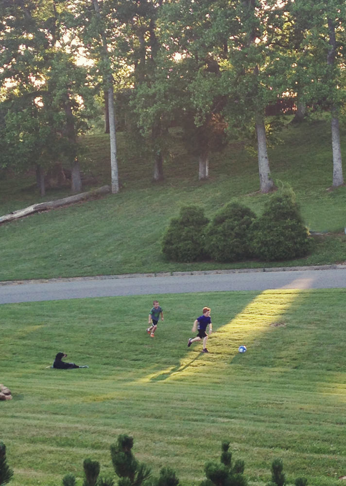 It's summer 2015