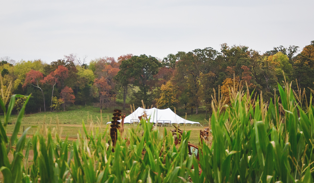 fall colors 2015