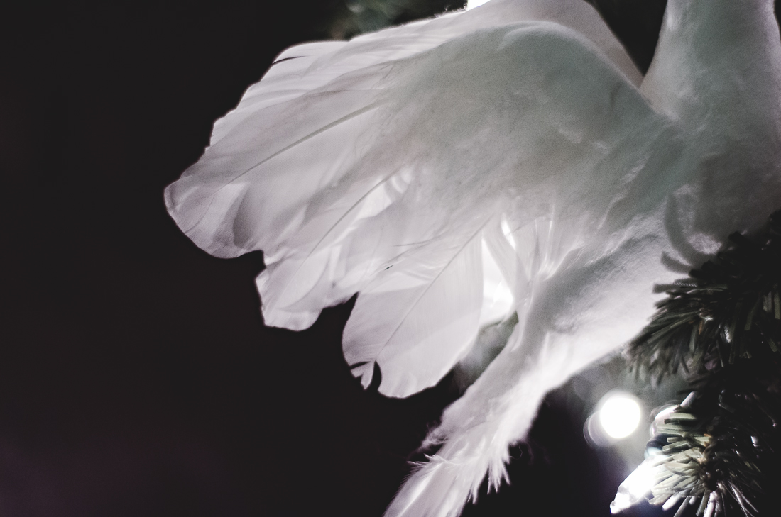 Dove tail