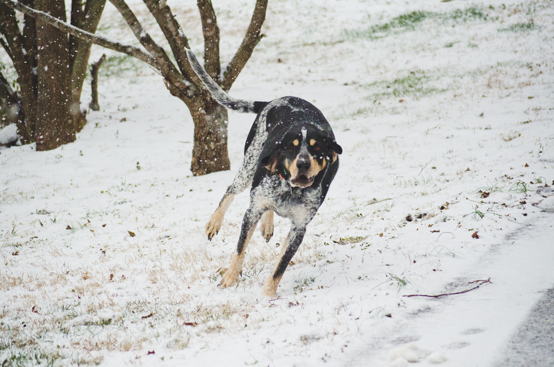 Major in January snow